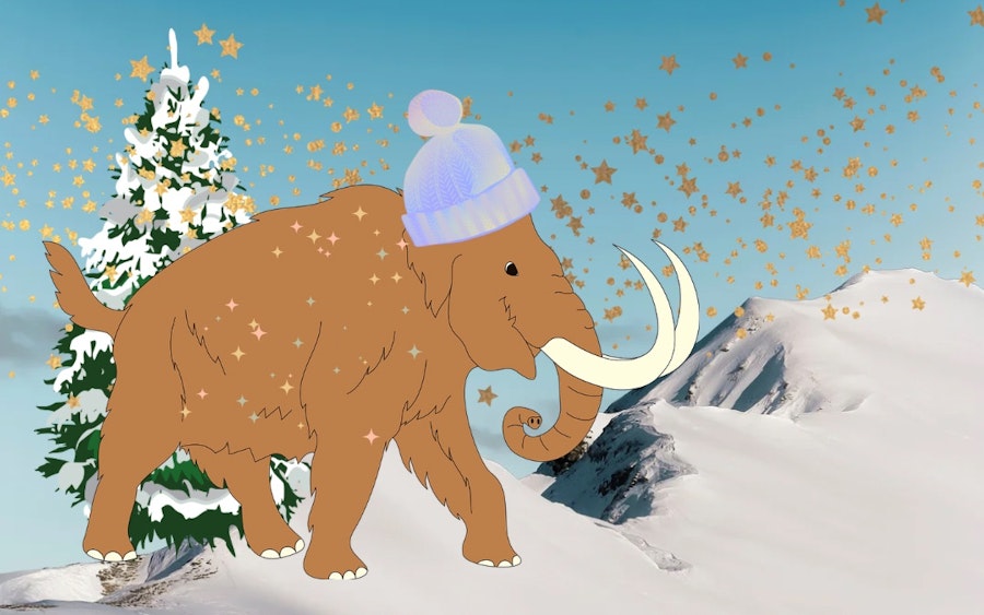 Woolly’s Christmas Trail at Christchurch Mansion, Ipswich